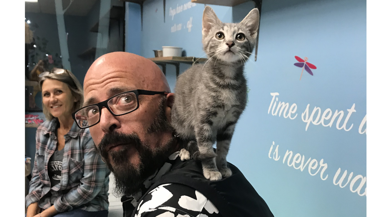 Jackson galaxy cats and 2024 dogs